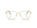 Swarovski Brillen SK 1003 4021 53