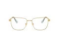 Swarovski Brillen SK 1003 4021 55
