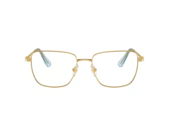 Swarovski Brillen SK 1003 4021 55