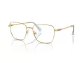 Swarovski Brillen SK 1003 4021 55