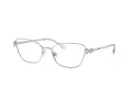 Swarovski Brillen SK 1006 4020 53