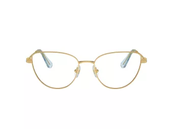 Swarovski Brillen SK 1007 4021 53