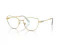 Swarovski Brillen SK 1007 4021 53