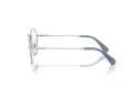 Swarovski Brillen SK 1011 4001 53