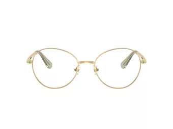 Swarovski Brillen SK 1013 4017 52