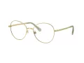 Swarovski Brillen SK 1013 4017 52