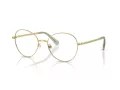 Swarovski Brillen SK 1013 4017 52