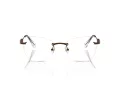 Swarovski Brillen SK 1014 4002 55