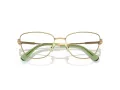 Swarovski Brillen SK 1018 4017