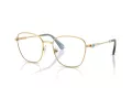 Swarovski Brillen SK 1019 4021