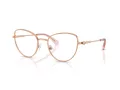 Swarovski Brillen 1022 4014