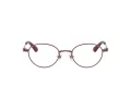 Swarovski Brillen SK 1028TD 4040