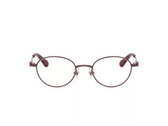 Swarovski Brillen SK 1028TD 4040