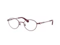 Swarovski Brillen SK 1028TD 4040