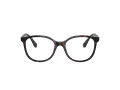 Swarovski Brillen SK 2002 1002 51
