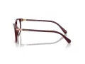 Swarovski Brillen SK 2002 1008 53