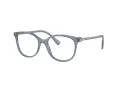 Swarovski Brillen SK 2002 1035 53