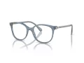 Swarovski Brillen SK 2002 1035 53