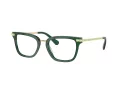 Swarovski Brillen SK 2018 1045