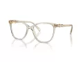 Swarovski Brillen SK 2020 3003