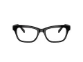 Swarovski Brillen SK 2022 1001 53
