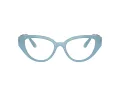Swarovski Brillen SK 2024 2004 50