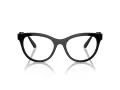 Swarovski Brillen SK 2025 1001 54