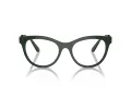 Swarovski Brillen SK 2025 1026