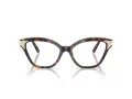 Swarovski Brillen SK 2029 1002 54