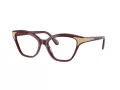 Swarovski Brillen SK 2029 1008 52