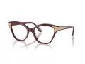 Swarovski Brillen SK 2029 1008 52