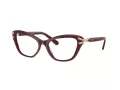 Swarovski Brillen SK 2031 1008 53