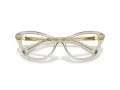 Swarovski Brillen SK 2031 3003 53