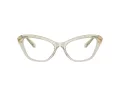 Swarovski Brillen SK 2031 3003 55
