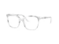 Swarovski Brillen SK 2033 1042 54