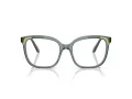 Swarovski Brillen SK 2033 1043 54