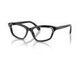 Swarovski Brillen SK 2034 1001 54