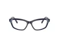 Swarovski Brillen SK 2034 1004 54