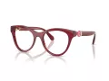 Swarovski Brillen SK 2036 1055 50