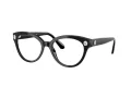 Swarovski Brillen SK 2037 1001 52