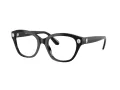 Swarovski Brillen SK 2038 1001 51