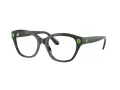 Swarovski Brillen SK 2038 1026 51