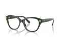 Swarovski Brillen SK 2038 1026 51