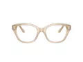 Swarovski Brillen SK 2038 1034 51