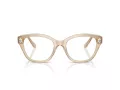 Swarovski Brillen SK 2038 1034 51