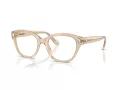 Swarovski Brillen SK 2038 1034 51