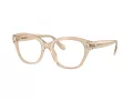 Swarovski Brillen SK 2038 1034 53