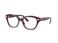 Swarovski Brillen SK 2038 1044 53