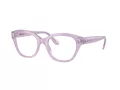 Swarovski Brillen SK 2038 1075 51