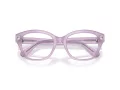 Swarovski Brillen SK 2038 1075 51